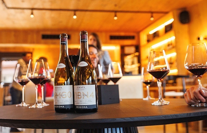 cata-vinos_pueblo_bideona