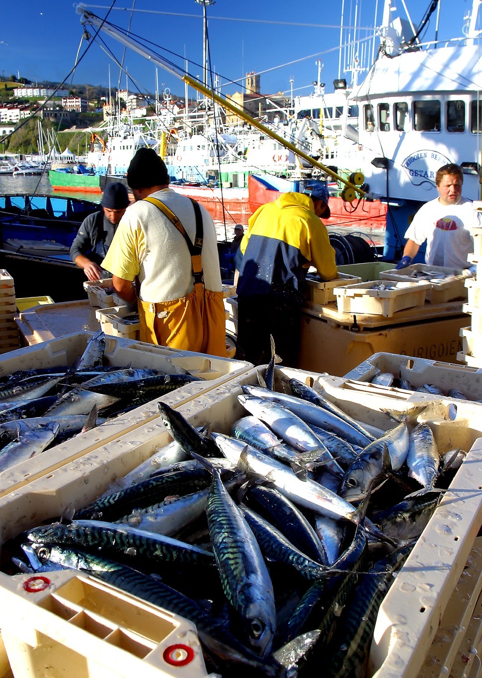Pesca en Getaria